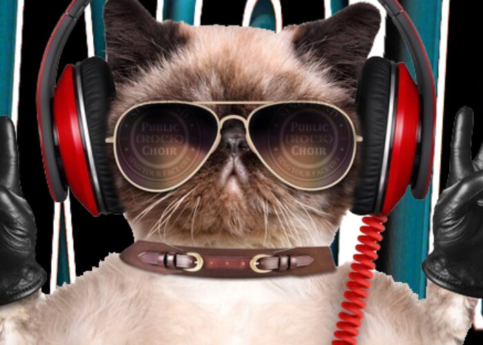 Public (ROCK) Choir - SING YOUR FACE OFF