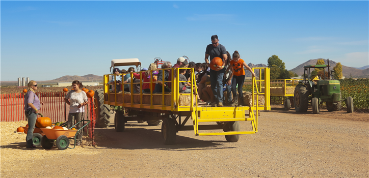 2025 Layton Holiday Hayrides