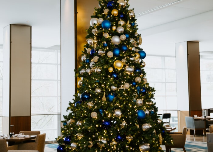 Holiday Tree Lighting @ JB Duke Hotel