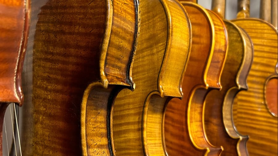 Fegley Instruments and Bows