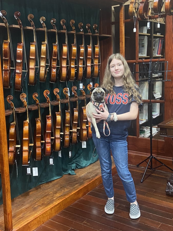 Antonio Strad Violin