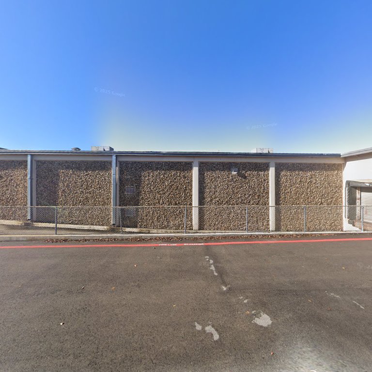 Guitarasaur Guitars & Ukuleles (In Painted Tree)