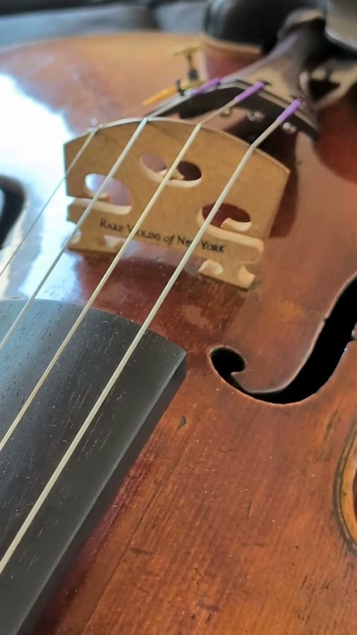 Rare Violins of New York