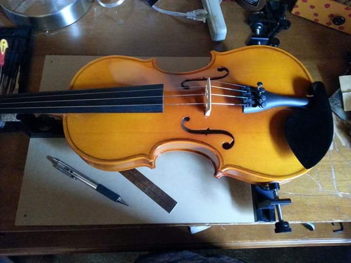 Fiddling Turtle Violins