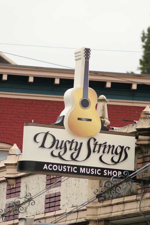 Dusty Strings Music Store & School