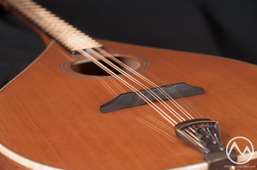 Mountain Whimsy Guitars