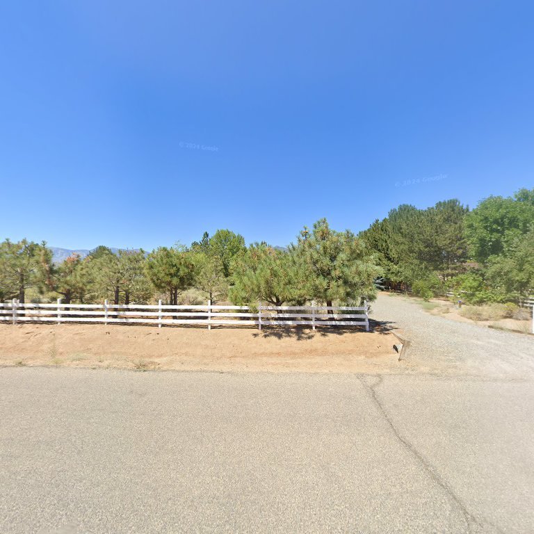 Carson Valley Violins/Violin School