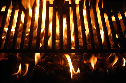 Horseshoe Bar & Grill: David "Kojak" Koshial