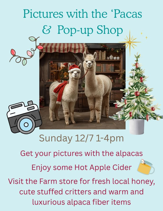 Paca Pop Up & Pictures