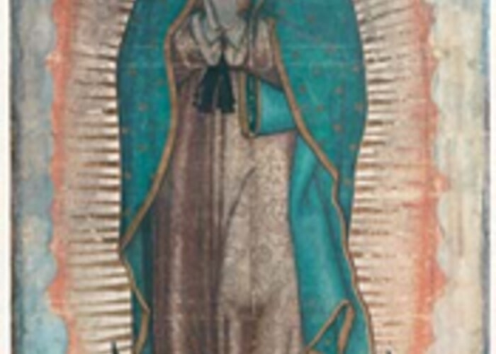 Novena Gaudelupe