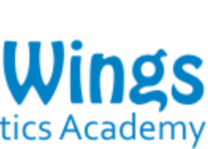 Wings - Friday Night open gym
