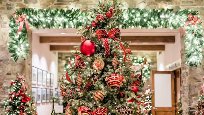 Ocotillo: A Winter Welcome