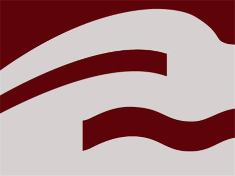 "Hear and See Brahms" University Symphony Orchestra Concert