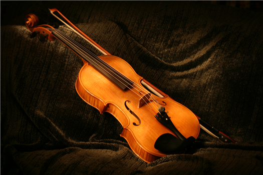 Viola Cookie Concert