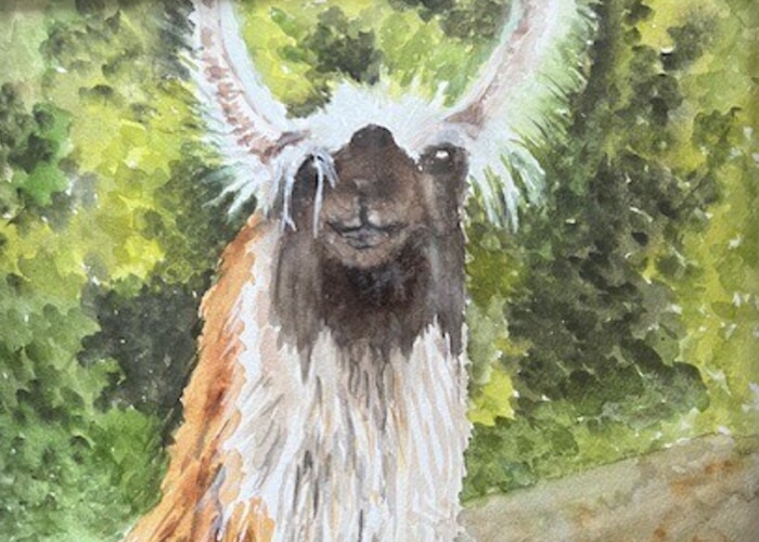 First Friday ArtWalk, presented by Lane Arts Council