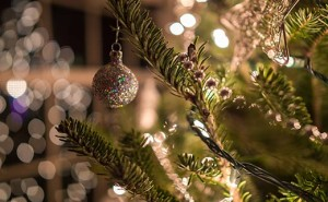 Tree Lighting Celebration at The Village Corte Madera