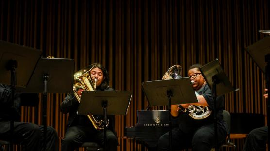 Student Chamber Ensembles