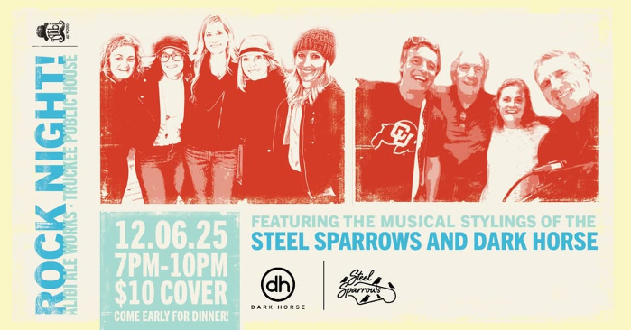 A night of music with the Steel Sparrows and Dark Horse