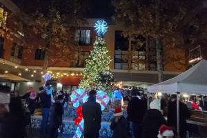 Theater Square Tree Lighting in Petaluma