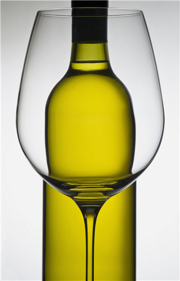 The Joy Bonner Band & Sea Shell Wines!