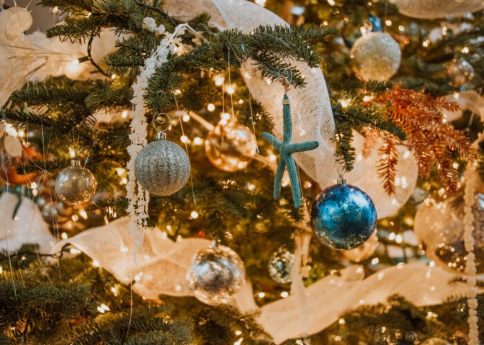 Winter Wonderland At Portola Hotel & Spa