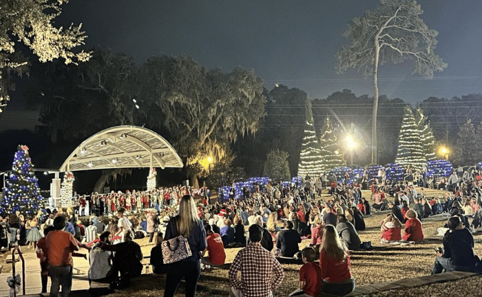 Christmas Tree Lighting & Holiday Vendor Market