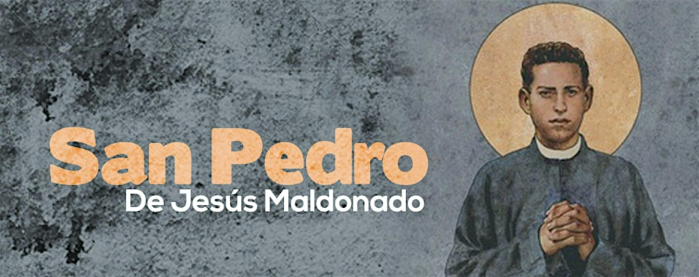 A Joyful Christmas - Cena, Baile y Concierto