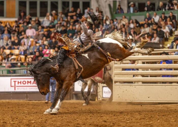 Stockyards Championship Rodeo 8/30 Matinee