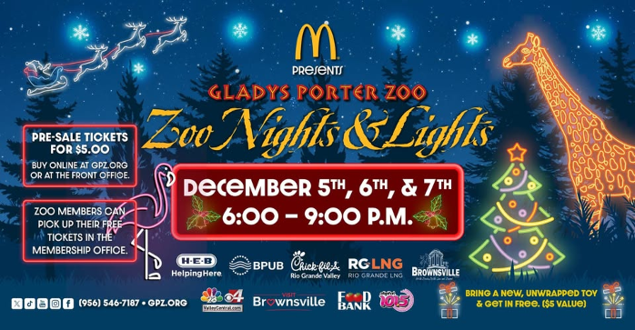 Zoo Nights and Lights