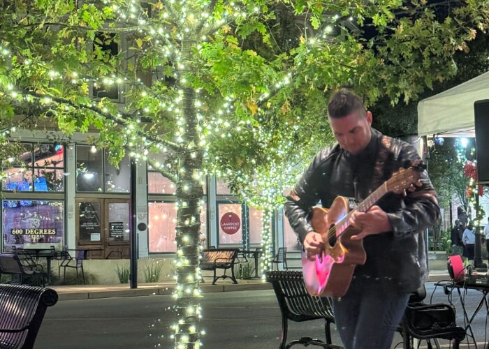 Hometown Holiday Shows