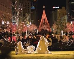 Palm Valley Christmas Activity