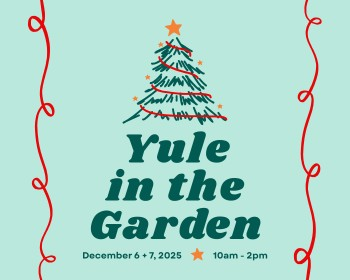 Yule in the Garden Day 1