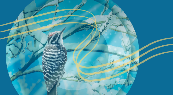 Masterworks Choral Ensemble Presents: Holding The Light