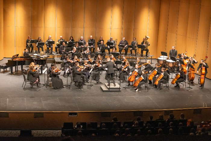 Central Lakes Symphony Orchestra Concert