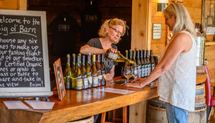 Live Music at Old World Center