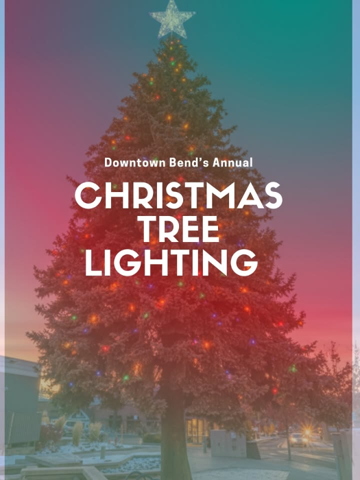 Community Christmas Tree Lighting