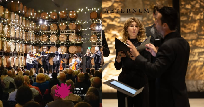 Night 1: Christmas in the Vineyards in Napa!