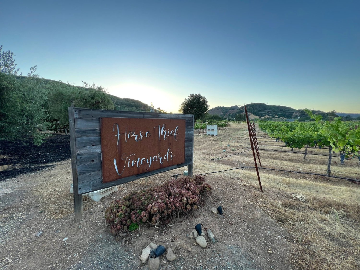 Horse Thief Vineyards Live Music
