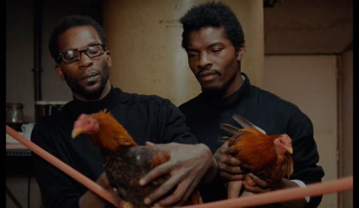 UW Cinematheque - At the Chazen