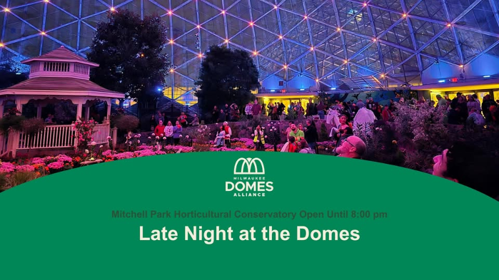 Late Night at The Domes