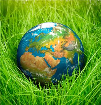 Community Forestry MATTERS ! - Hosted by SJC & HCTreeAllies (Copy)