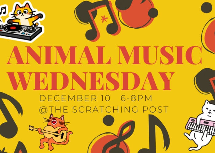 Animal Music Wednesday @The Scratching Posst