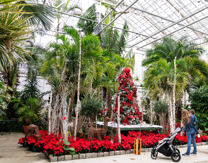 All Aboard...for the Holidays