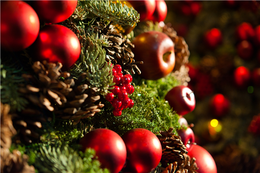 Cascade Schools Combined Christmas Concert