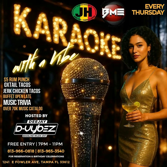 KARAOKE WITH A VIBE TAMPA