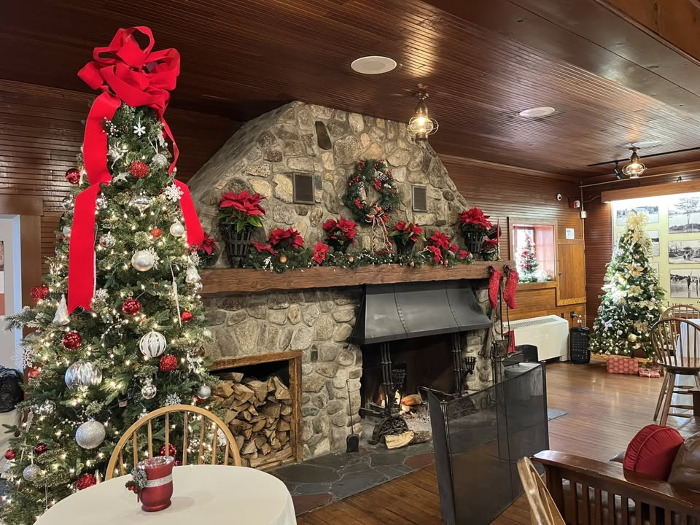 Shakespeare on Tap: Twelfth Night