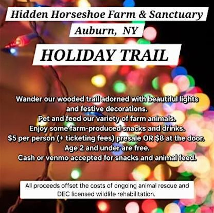 Hidden Horseshoe Farm & Sanctuary Holiday Trail