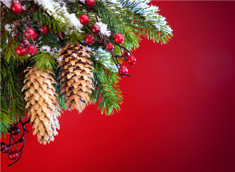 The Texas Tenors Christmas