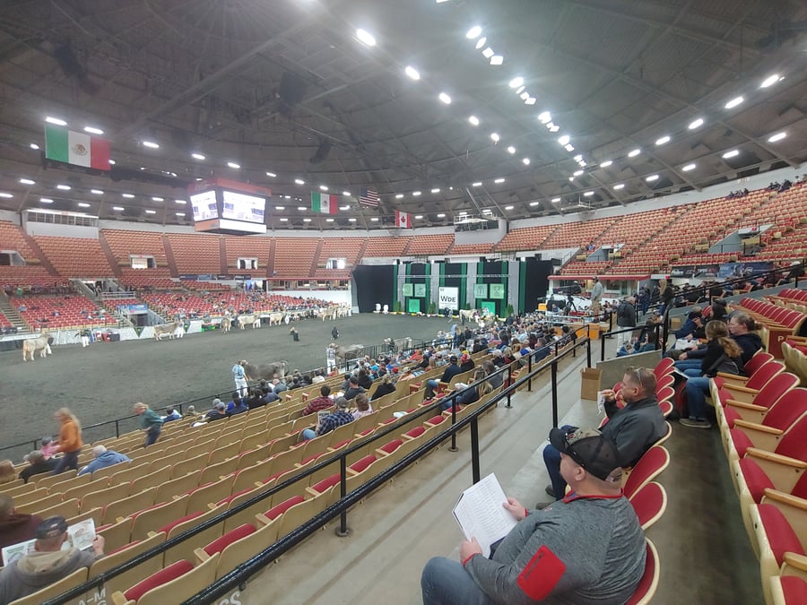 Veterans Memorial Coliseum | “The Great Dane”