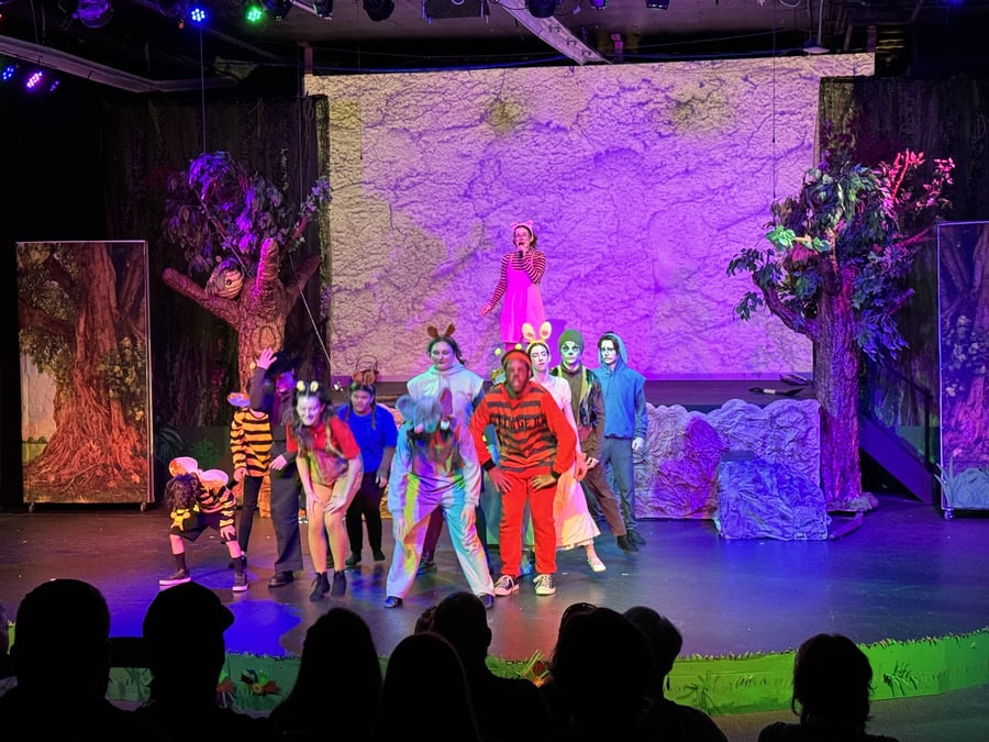 State 48 Theatre Company